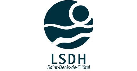 Logo de l'entreprise LSDH
