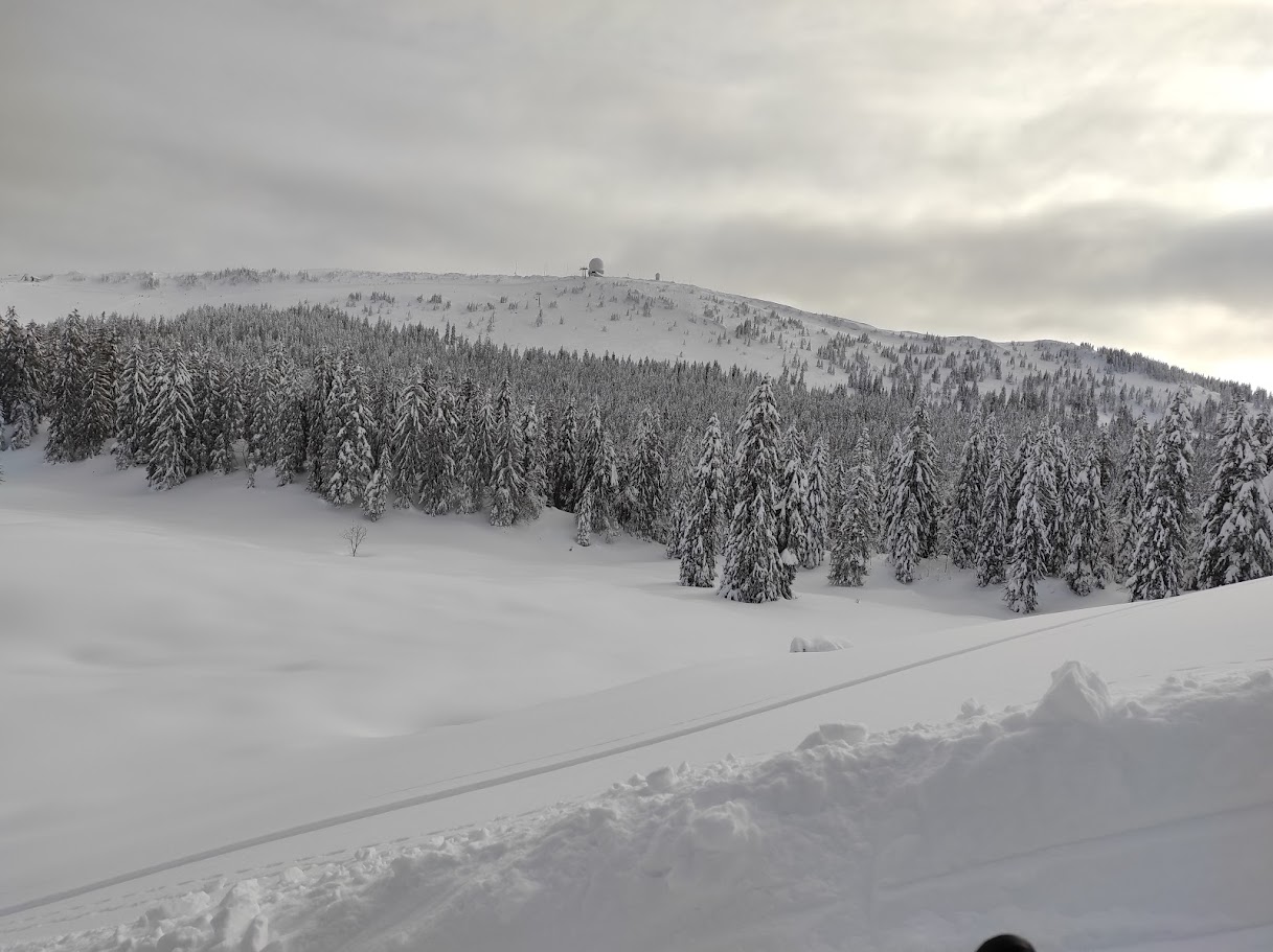 photo de trace de ski dans la neige vue de la montagne